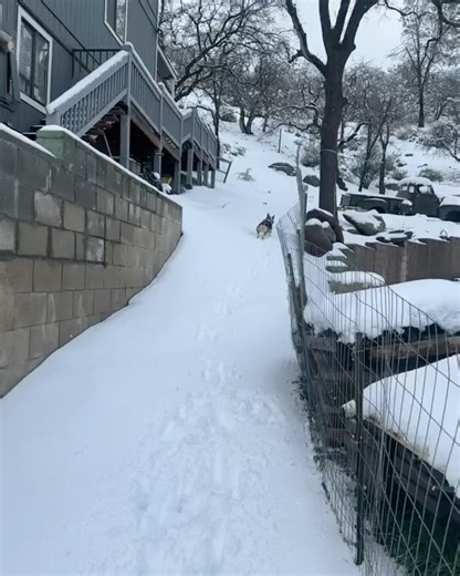 66 reactions · 3 comments | City of Tehachapi, CA Government on Reels | Facebook