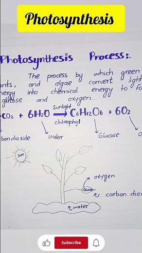 Photosynthesis Process Explained in Handwriting | Easy Explanation for Students | StudyCore