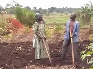 Northern Music And Other Luo Music on Reels