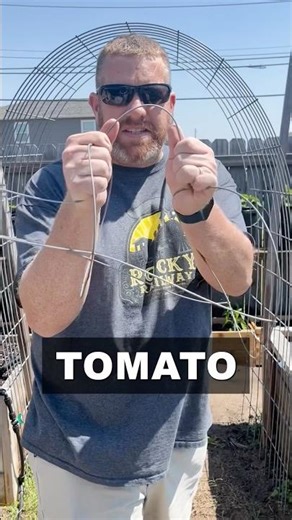 Stop using crappy tomato cages #gardening ￼