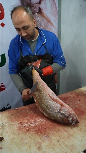 Fillet Any Fish – Beginner Friendly Method