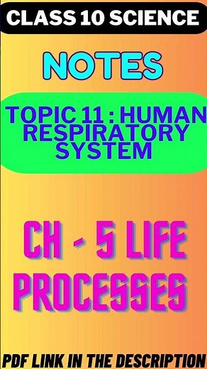 Human Respiratory System Notes with diagram|Class 10 Science|Biology|Ch-5 Life processes|#shorts