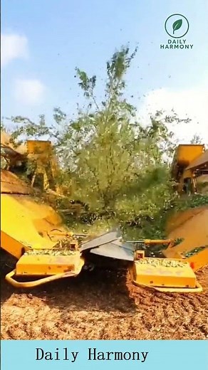 Super Easy Way to Pick Fruits from Trees