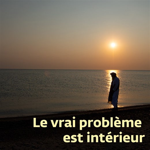 14K views · 470 reactions | Dans un monde où la violence semble...