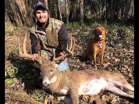 Bad Shot On Big Illinois Buck - Awesome GoPro Footage Using A Tracking Dog