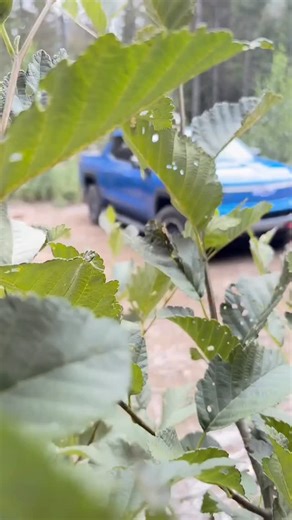 5K views · 3 comments | The E-Bike of full-size trucks? We had a blast cruising around in this @Chevy Silverado EV Trailboss up in BC for this year’s Crankworx Whistler落 | Bike Magazine | Facebook