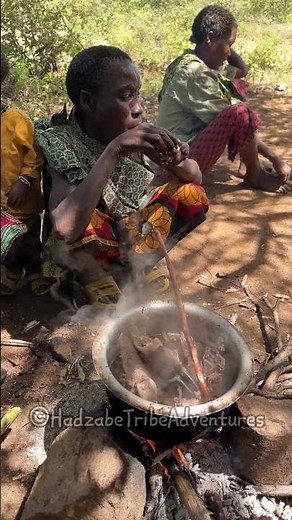Hadzabe Tribe women cook natural bush food to feed the tribe