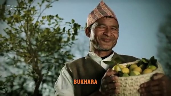 Living in Uzbekistan on $500: Hidden Culture & Beautiful Women!" – Travel Documentary