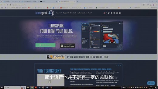 TeamSpeak软件安装教程(好友向)
