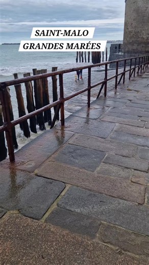 Vidéos de Wellfleet (@wellfleet) avec Sound of the waves. - Satoru Saito