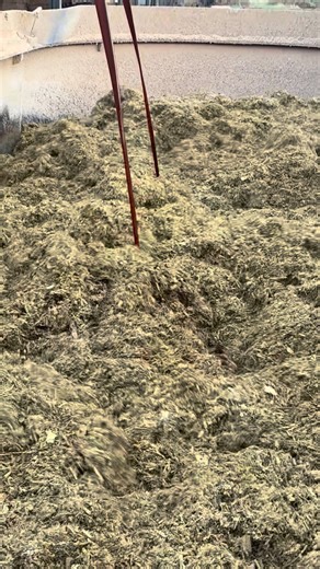 225K views · 2.6K reactions | Getting some TMR ready for the ladies! #tmr #patz #farm #food | Den Hoed Dairy | Facebook