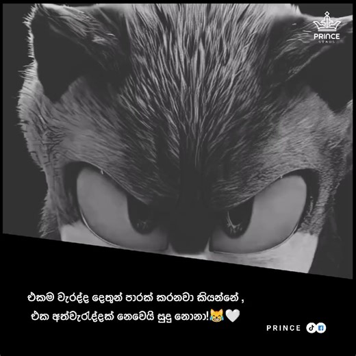 😹🤍 #wadan #stausvideo #viral #foryoupage #prince_staus