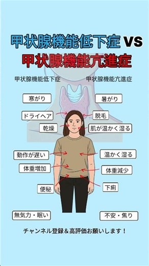 甲状腺機能低下症 vs 甲状腺機能亢進症｜症状でわかる甲状腺の異常サイン #甲状腺 #甲状腺機能低下症 #甲状腺機能亢進症 #バセドウ病 #ホルモンバランス #健康情報 #疲れやすい #代謝異常