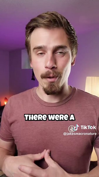 Day 407 of can you guess this macro photo! #macrophotogrpahy #photography