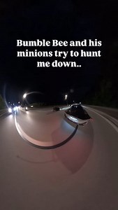 Bumble Bee and his minions try to hunt me down.. | Art Papikyants