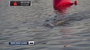 21K views · 438 reactions | Anyone else for Lauren Brandon vs. Shark?...