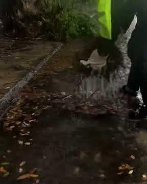 Unclog Flooded Street Drain in Minutes Step by Step
