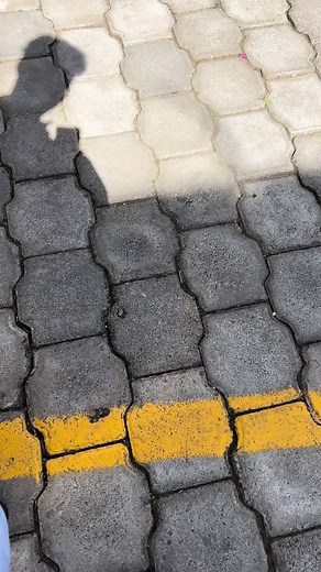 🤭🤭 #military #fyp #terminator #humortiktok