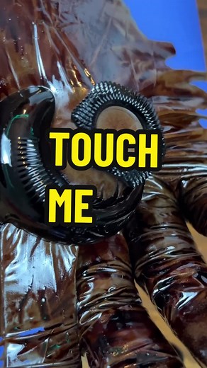 Touching 🤚 Alien Fluid in My Chemistry Lab 👽 #ferrofluid #chemistry