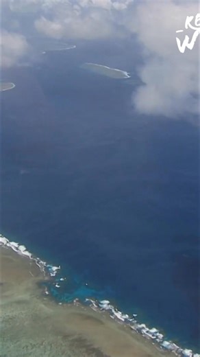 Dugongs, shy and elusive, find sanctuary on the Great Barrier Reef. Protected by anti-hunting laws, these slow-moving creatures, often accompanied by remoras, play a vital role in the reef's ecosystem. Their gentle pace allows fish to clean them of parasites. #Dugong #GreatBarrierReef #MarineLife #OceanConservation #Wildlife From: Wild Ones 3 S1 Ep3 | Real Wild