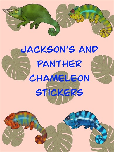 Jackson's and Panther Chameleon Vinyl Weatherproof Sticker/charming Kawaii Pet Reptile Laptop Decal/animal Lover Memorial Gift - Etsy UK