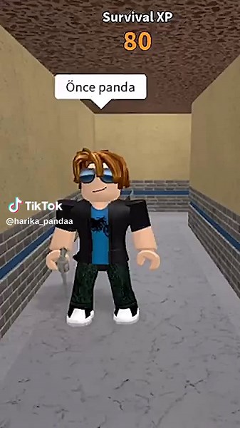 Heronpuppy'nin Gerçek Yüzü: Roblox Dünyası