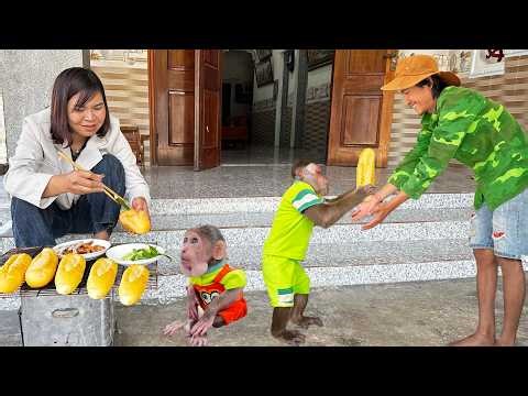 You Won't Believe ! CUTIS Send Mom Secret Food List To Care For Dad