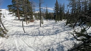 1.4K views | David Johnson on Reels | Facebook