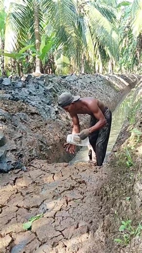 Pensiun Jadi Tukang Cangkul: Cara Buat Parit Mudah