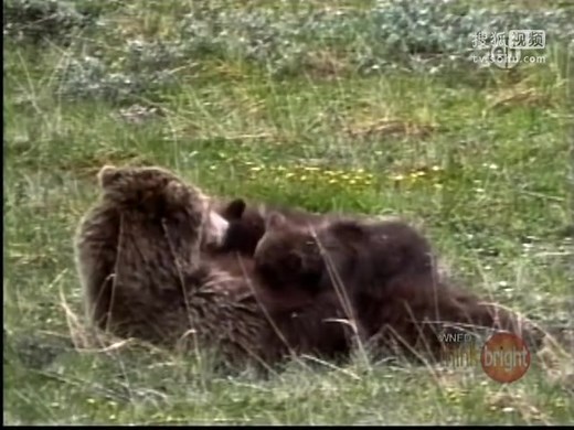 Zoboomafoo - Zoboo the Super Lemur