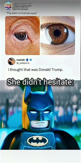 me after releasing #usa #memes