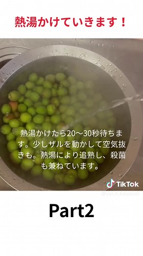 梅干しの作り方：母直伝のテクニック