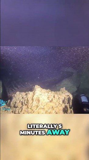 Two AMAZING Dive Sites Just 5 Minutes Apart?