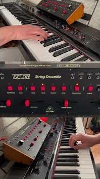 The Solina String Ensemble…”Alien Days” MGMT Intro…#behringer #solina #stringensemble #mgmt