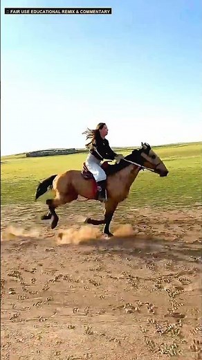 Epic Equestrian Compilation: Majestic Horses & Wild Rides 🐎🔥 #Shorts