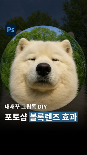 칼퇴할고양🐈 | 실무 포토샵 • 인물보정 꿀팁 on Instagram: "👇🏻자세한 내용 캡션 참조 (한글판/영문판/단축키 포함) 반려동물에 진심인 분들, 주목! 📢 이제 비싼 돈 주고 맡기지 않아도 돼요! 이젠 직접, 그것도 아주 쉽게 만들 수 있답니다. 🥳 그립톡부터 스꾸 스티커까지 다양하게 활용 가능하니, 지금 바로 저장하고 꼭 따라해보세요! 🐶🐱🐹🩷 ⸻ 🇰🇷 한글판 ▫️새 파일 만들기 > 1080×1080, 배경은 검정 ▫️1:1 비율 이미지를 가져오기 ▫️원형 선택 도구 > Shift로 원형 드래그 ▫️레이어 마스크 아이콘 클릭 ▫️필터 > 흐림 효과 > 가우시안 흐림(반경은 아주 작게) ▫️레이어 썸네일 클릭 ▫️필터 > 왜곡 > 구형화(100%, 표준 모드) ▫️레이어 빈 공간 더블 클릭 ▫️내부 그림자 > 각도·크기 자연스럽게 조절 ▫️내부 광선 > 색상·불투명도·크기 자연스럽게 조절 🇱🇷 영문판 ▫️Create a new file > 1080×