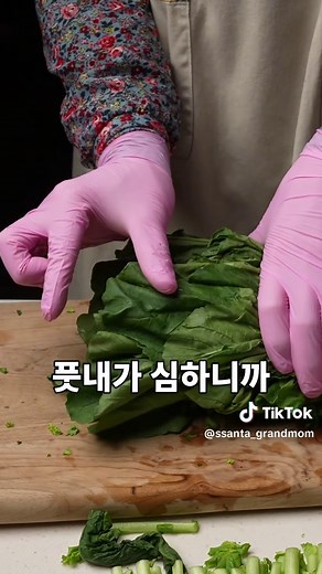 왕초보 위한 열무물김치 레시피 꿀팁