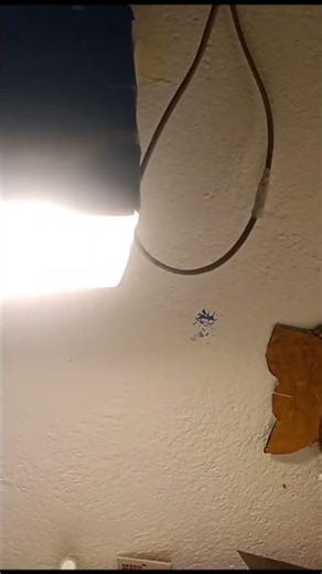 doing study at morning 2:16a.m. #like #love #shorts #subscribe #study #time #studytable .....