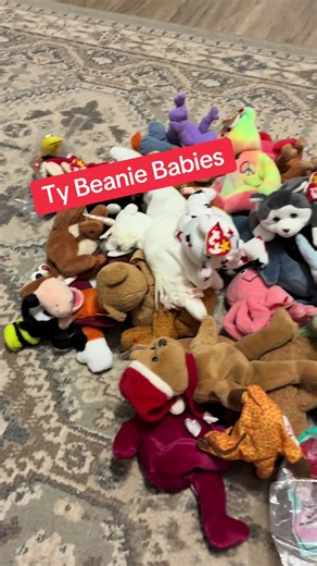 TY Beanie Babies