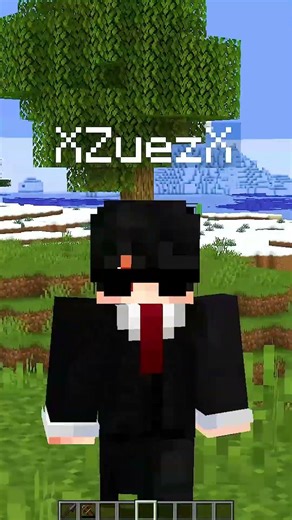 This Mod Can Change Your Minecraft SMP Videos !