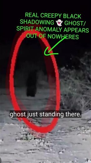 Eddy's Ghost-Box: Black Shadowy Ghost Caught On Camera Outside