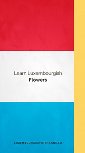 58K views · 469 reactions | Learn Luxembourgish with us! luxembourgishwithanne.lu #luxembourgishwithanne #learningluxembourgish #languagelearning | Luxembourgish with Anne | Facebook