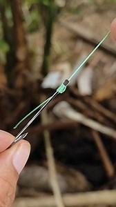 A simple and effective way to tie an eyeless fishing hook—clean wraps, strong grip, and easy to master. #eyelesshook #hookknot #knottutorial #anglerguide #fishingtips | Indra Jaya Giri