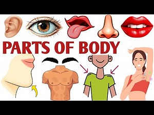 Body Parts | Body Parts For Kids | Body Parts For LKG Kids | Pre-Primary Learning | Body Parts Name
