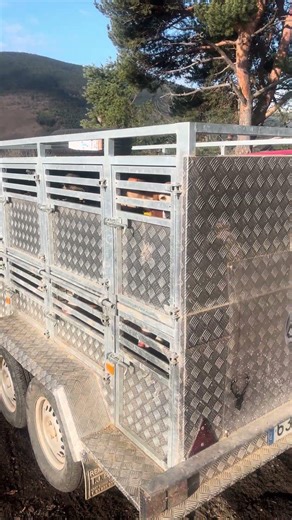 Batida Solidària en Planoles Associació de Gossers i Caçadors de Catalunya