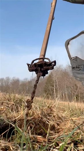 Pulling the Trap 🦊 🐺 🦝 #predator #trapping #wildlife