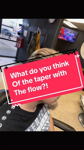 Precision Shear Work for Stylish Taper Cuts