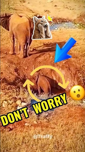 Emotional Elephant Rescue Baby Trapped in Mud Saved🐘❤️ #heartwarmingstory #wildliferescue #animals