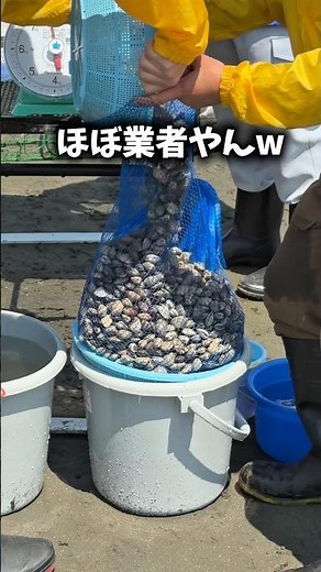 【超速報】2026年、三番瀬潮干狩りが始まったよー🐚🐚🐚