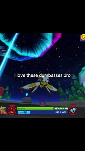 Funny Moments in Dragon Adventures